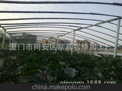 厂家直销北京农业大棚膜 白色6m宽大棚塑料布 长寿无滴膜图片,厂家直销北京农业大棚膜 白色6m宽大棚塑料布 长寿无滴膜图片大全,厦门市同安区欧真农膜加工厂-
